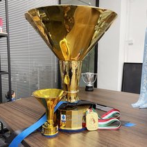 Common Version NAPOLI Italian Serie A The Scudetto Trophy |Campioni d’Italia 2024/2025