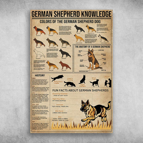 German Shepherd Knowledge Colors Of The German Shepherd Dog Poster Print Wall Art Canvas Wall Decor