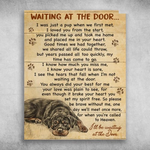 Cane Corso Dog Waiting At The Door I Loved You From The Start Poster Print Wall Art Canvas Wall Decor