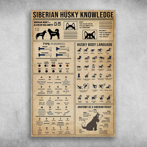 Siberian Husky Knowledge Husky Body Language Poster Print Wall Art Canvas Wall Decor