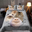Persian Cat Bedding Set DQB07282008 - Amaze Style™-Quilt