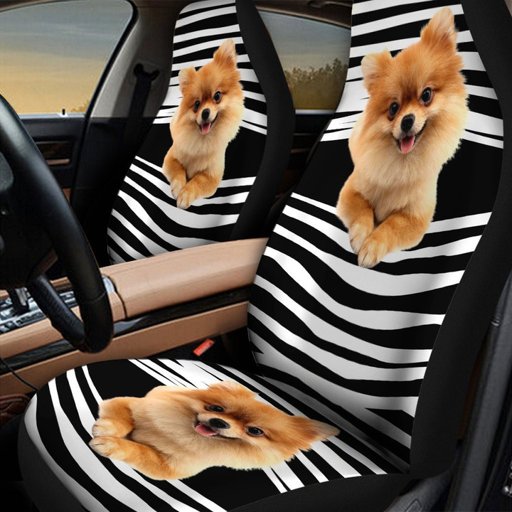 Pomeranian car seat DD09232003 - Amaze Style™-