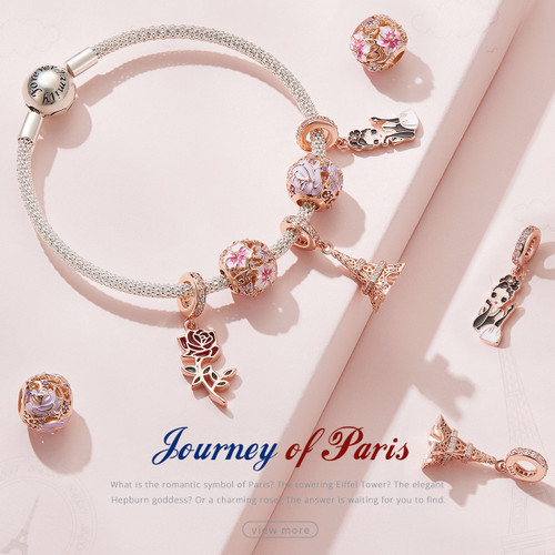 Journey of Paris Series Charm