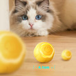 Pet Smart Rolling Ball Cat Toy