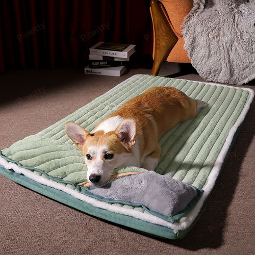 Dog Bed Padded Cushion-Large