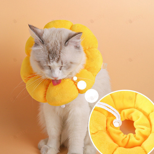 Cat Sunflower Cotton Neck Collar