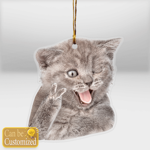 Custom Cat Print Mica Ornament