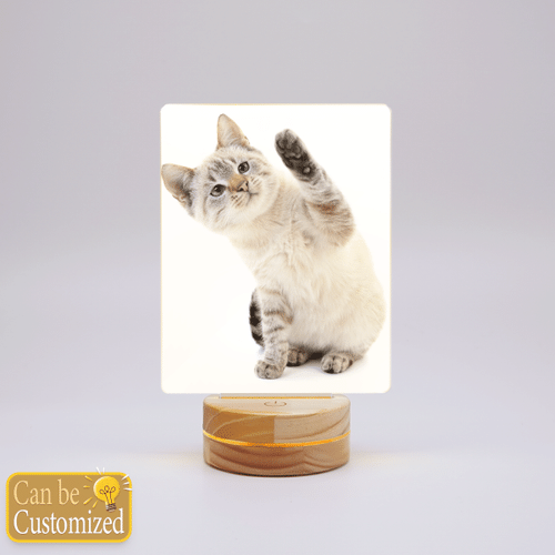 Custom Cat Print 3D LED Lamp