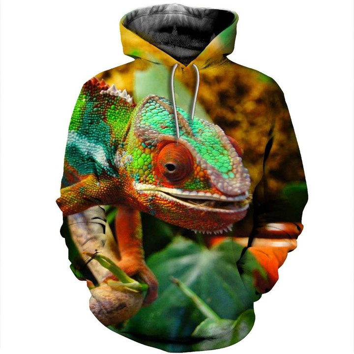 Chameleon 1712010 B1061 3D Pullover Printed Over Unisex Hoodie