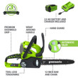 Greenworks 40V 12-inch Cordless Chainsaw With 2.0 Ah Battery And Charger, 2000219
