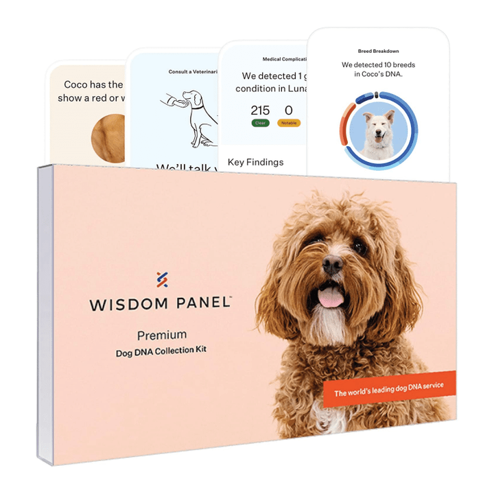 Wisdom Health Panel Premium Dog DNA Test