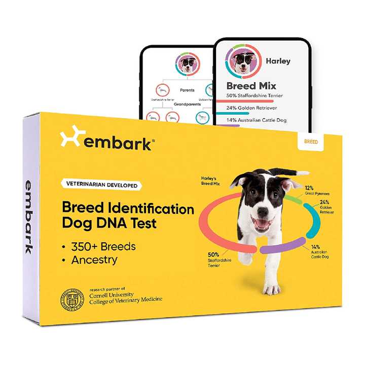 Embark Dog DNA Test, Breed Identification Kit