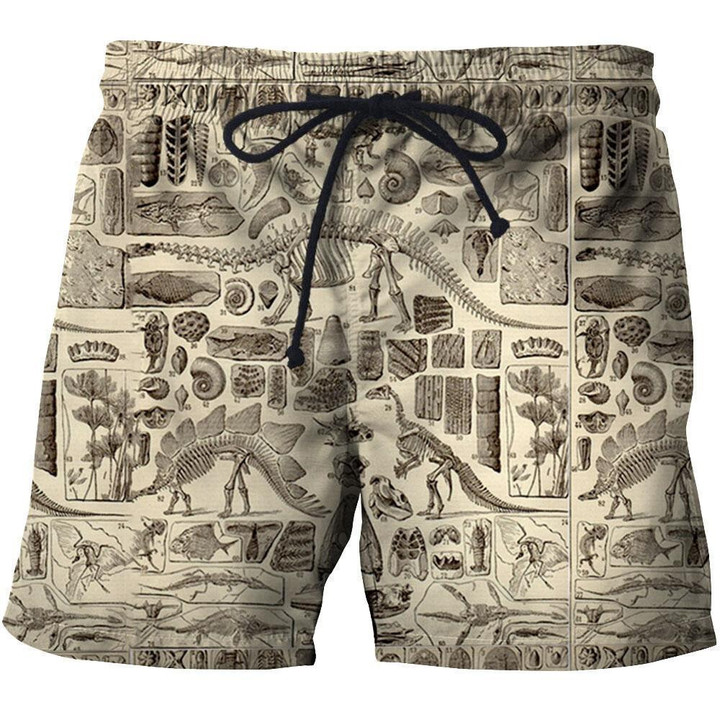 3D All Over Printed Dinosaur Fossils Shorts - Hoodifize
