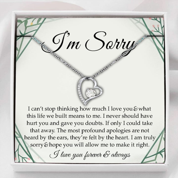 Valentine's day gifts for her Girlfriend Necklace, Wife Necklace, Im Sorry Necklace Apology Gift, Gift For Wife/Girlfriend/Partner, Forgiveness Gift,