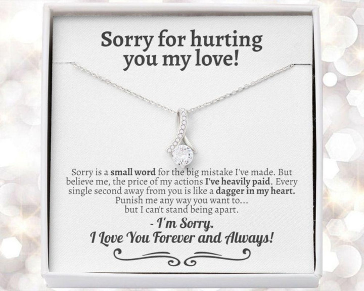 Valentine's day gifts for her Girlfriend Necklace, Wife Necklace, Apology Necklace Gift To Say Sorry, Gift To Apologize, Gifts For Apology, Im Sorry Gift For Her