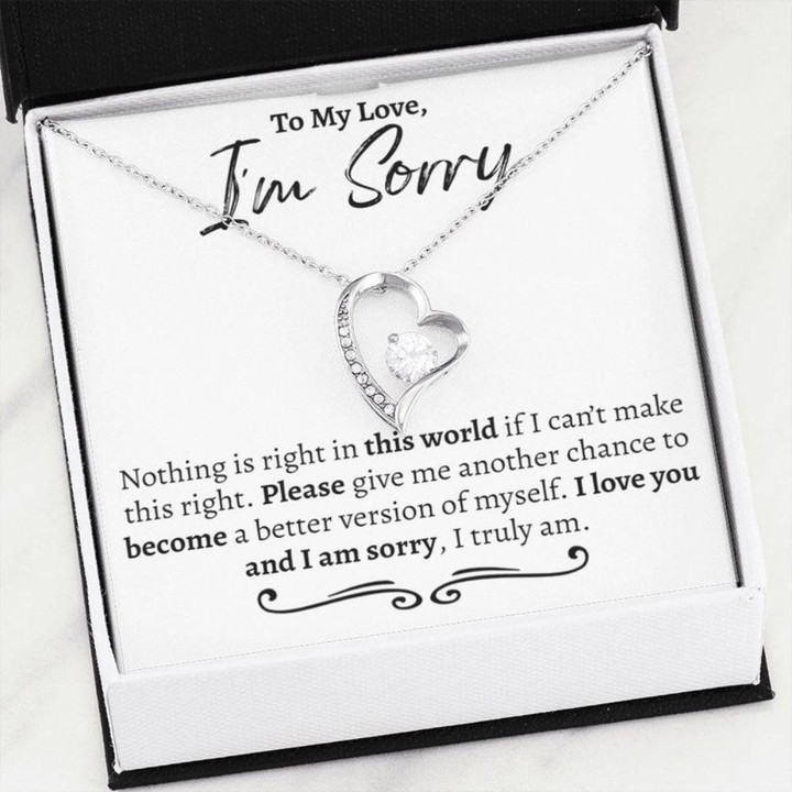 Valentine's day gifts for her Girlfriend Necklace, Im Sorry Gift For Her, Apologizing Gift, Sorry Gift Necklace For Girlfriend, Apology Gift For Her