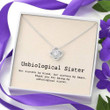 Sister Necklace Gift, Unbiological Sister Necklace Gift  Best Friend Soul Sister Sister-in-law Gift