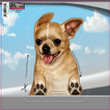Chihuahua-On The Move Window Car Sticker