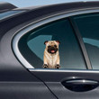 Pug (Fawn)-On The Move Window Car Sticker