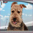 Airedale-On The Move Window Car Sticker