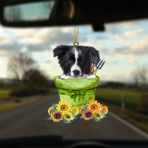 Border Collie-Garden Pot Two Sided Ornament