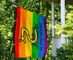 No Step On Snek Flag Gadsden Flag LGBT Pride Color Yellow Flag With Snake FL56