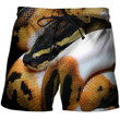 3D All Over Printed Snake Shirts and Shorts