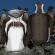 Amazing Humboldt penguin Hoodie