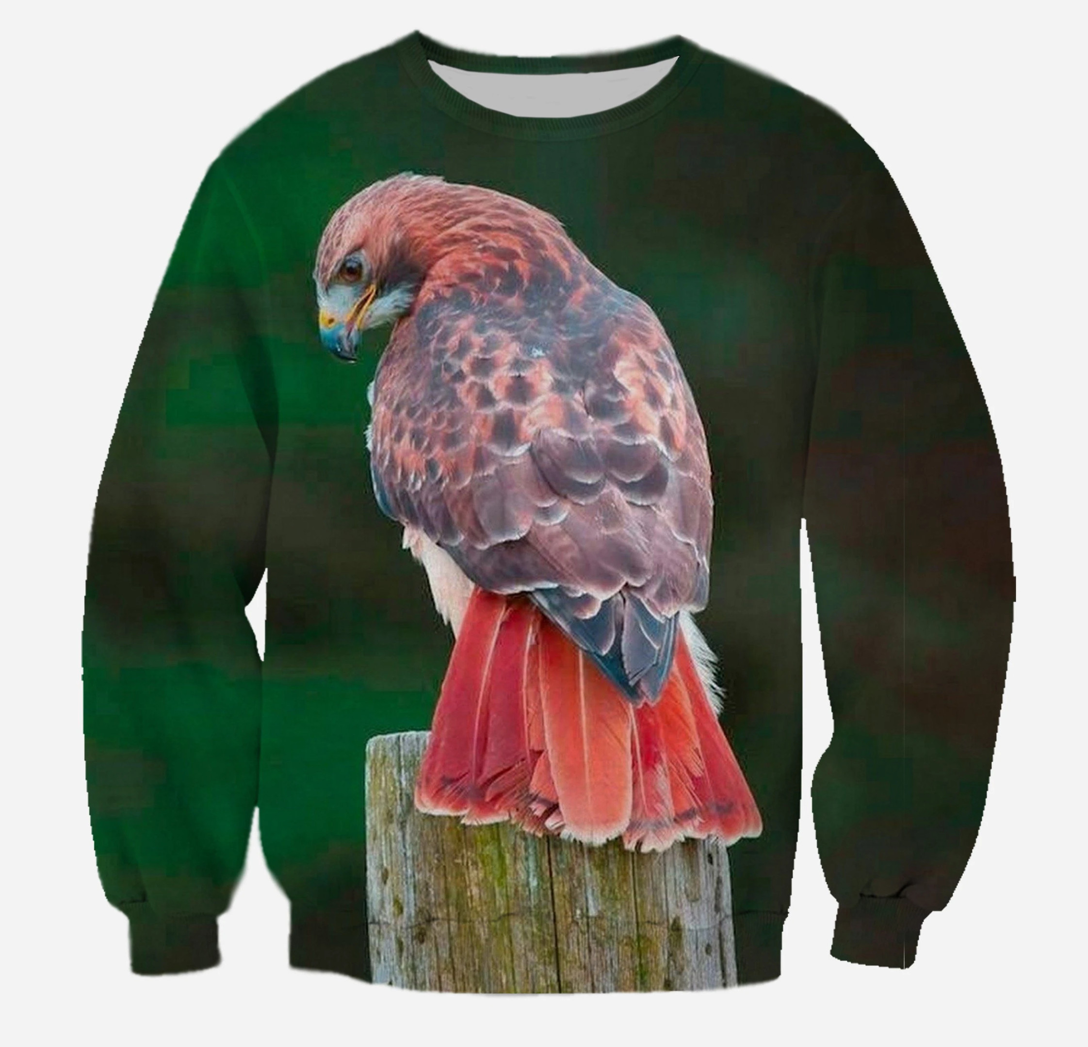 3D All Over Printed Red tail hawk Clothes
