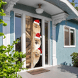 Tmarc Tee Pomeranian Door Cover Christmas Gift Home Decor RT