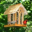[SET OF 2] - Perky-Pet Mountain Chapel Bird Feeder