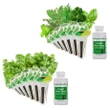 AeroGarden Gourmet Herbs And Basil Seed Pod Kit, 12-Pod Dual Kit