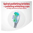 [SET OF 2] - Colgate Total + Whitening Toothbrush, Soft (8 ct./ set)