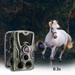Premium Hunting Wildlife Trail Camera Night Vision | HD 16MP 1080P