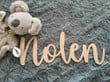 Personalized Kids Wooden Name Signs,Custom Children Name Wall Decor Color Wooden Letters, lasercut wooden Name Nursery 