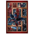 Spider Man - Canvas