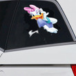 DS - Car Sticker