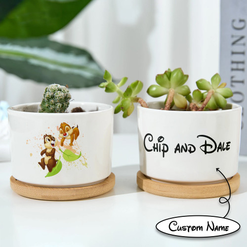 C&D - Mini Plant Pot Set