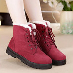 Women Snow Boots New Fashion Warm Fur Plush Insole Square Heels Flock Ankle Boots