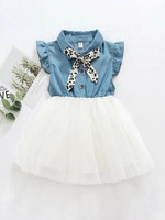 Toddler Girls Tie Neck Button Front Tulle Dress