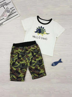 Toddler Boys Dinosaur Print Tee With Camo Shorts