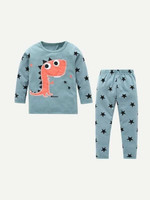 Toddler Boys Dinosaur & Star Print Tee With Pants