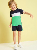 Toddler Boys Cut And Sew Panel Tee With Track Shorts