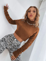 Women Solid Stand Neck Sweater