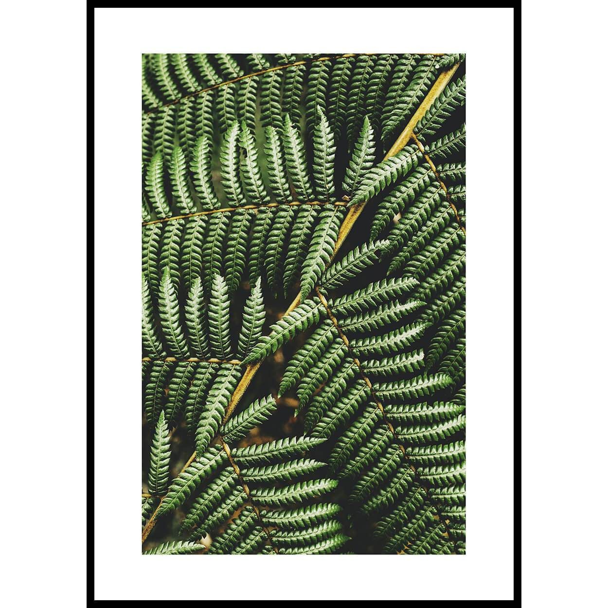 Beauty Of the Green Leaf Canvas Wall Art - Canvas Prints, Painting Canvas For Home Decor Art
