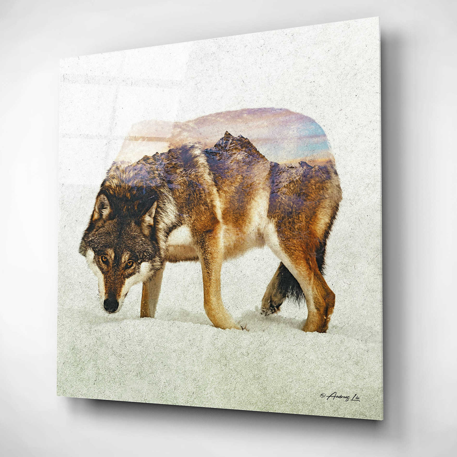 Wolf-North' by Andreas Lie, Canvas Wall Art Decor