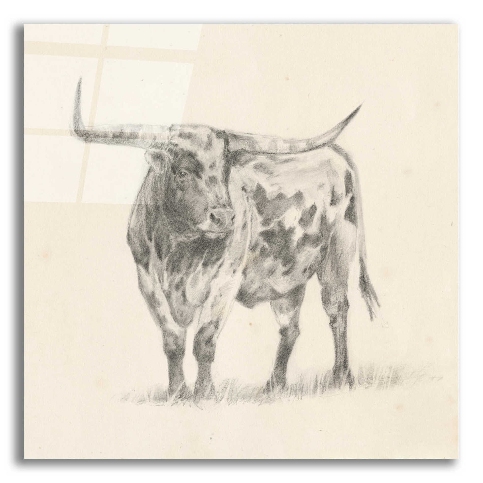 Longhorn Steer Sketch II' by Ethan Harper, Canvas Wall Art Decor
