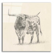 Longhorn Steer Sketch II' by Ethan Harper, Canvas Wall Art Decor