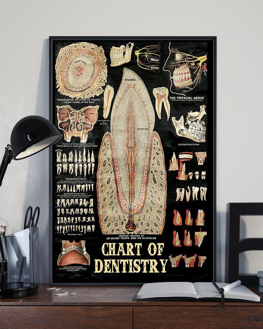 Professions Poster - Dentist Chart Of Dentistry Vertical Canvas - Wall Decor Visual Art