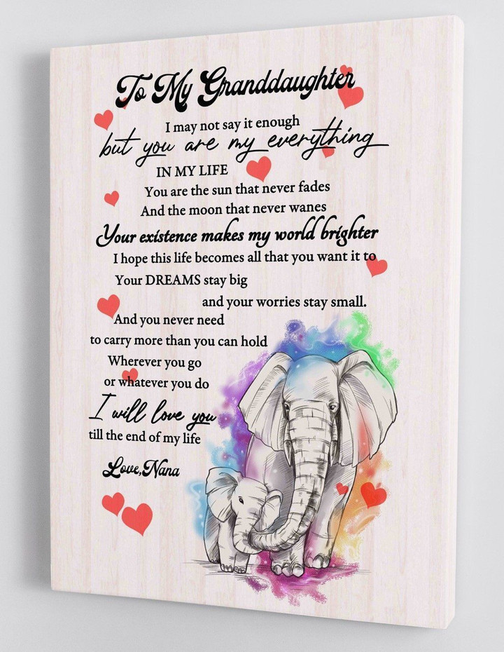 To My Granddaughter - From Nana - Elephant Framed Canvas Gift